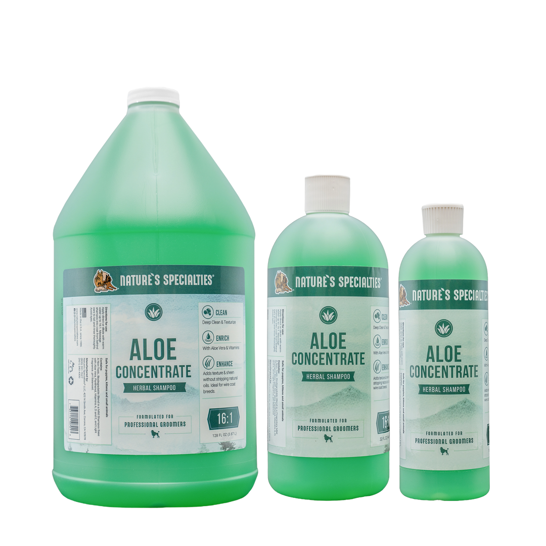 Aloe Concentrate Shampoo