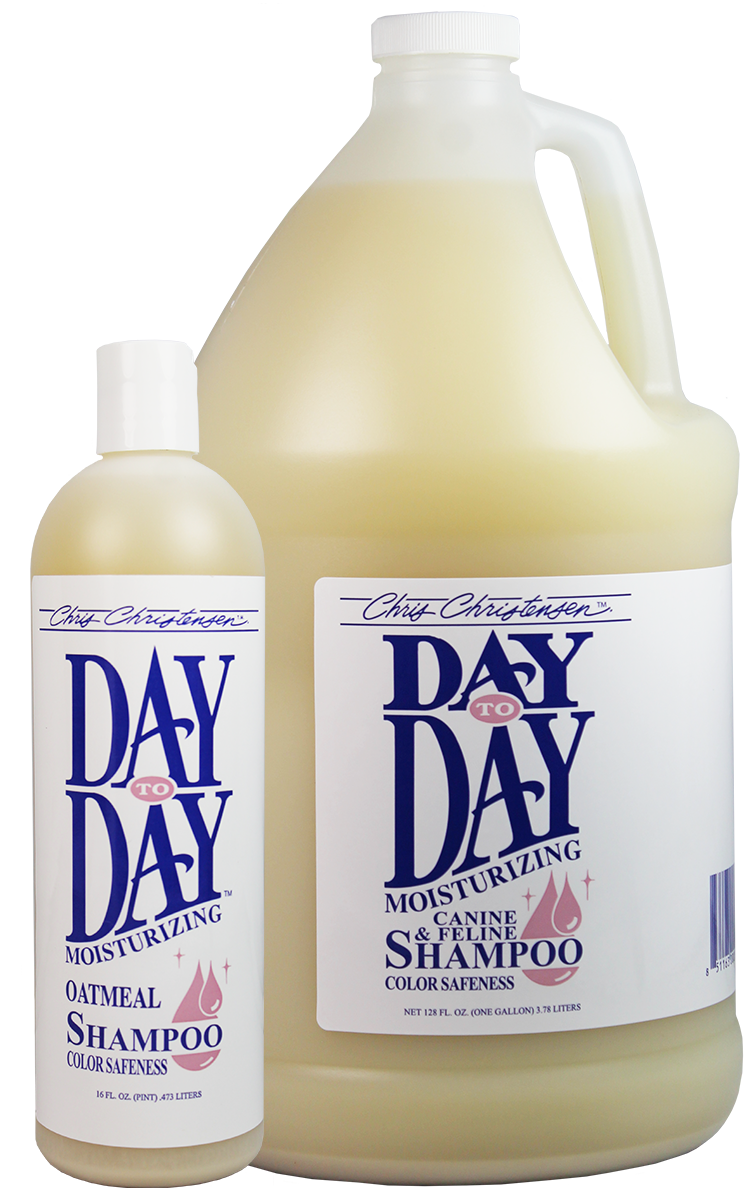 Day to Day Moisturizing Shampoo