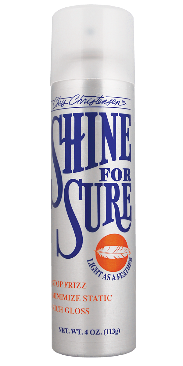 Shine For Sure Aerosol 4 oz.